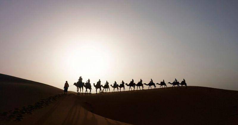 Freepik/Rawpixel.com